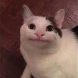 Meet your Posher, Aileen